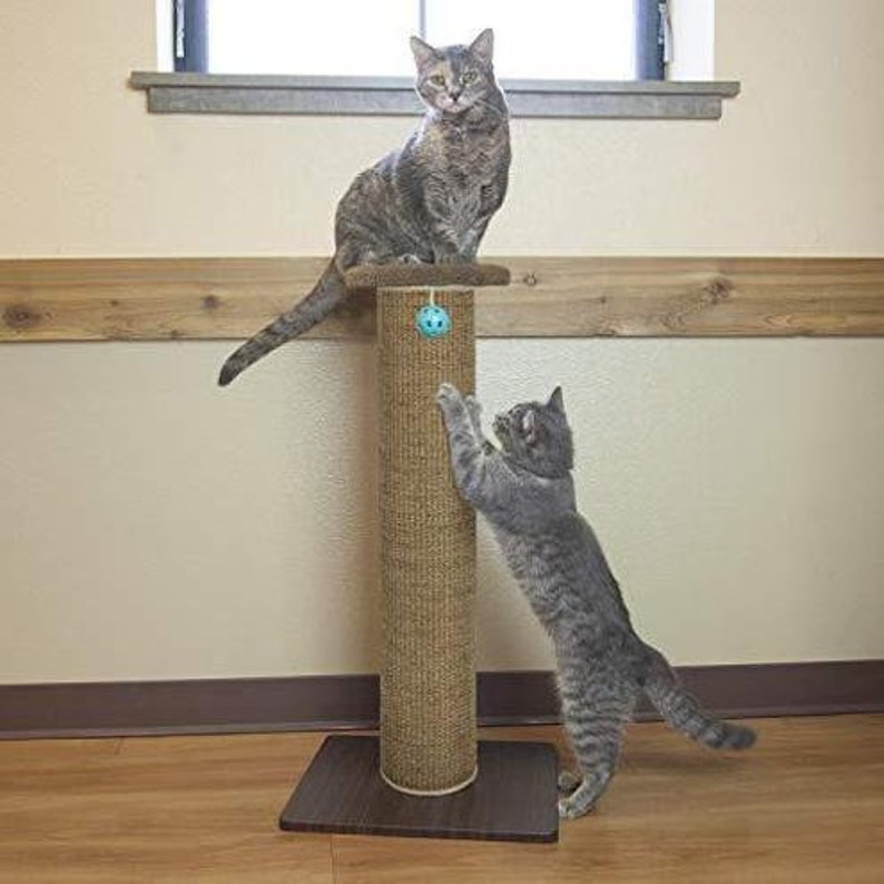 tall carpet scratching post