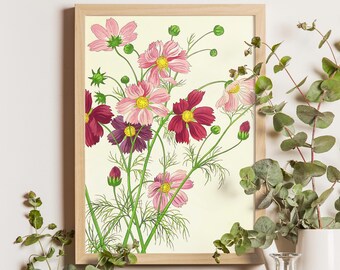 西村鳳堂作「コスモス」（1940年）、日本の花を描いた新版画