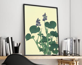 Purple Hosta Flowers by Ohara Koson, C. 1930s, Japanese Botanical