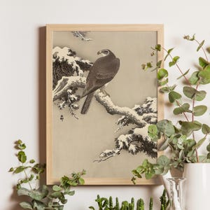 Goshawk on a Snow Covered Pine Branch, Ohara Koson, c. 1910s, Japanese woodblock bird of prey print, winter wildlife art