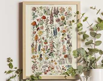 Könnte beinhalten: Ein Vintage- botanischer Druck mit einer Vielzahl von Blumen in Rosa-, Rot-, Gelb- und Blautönen. Der Druck trägt den Titel "FLEURS" und enthält die wissenschaftlichen Namen jeder Blume.