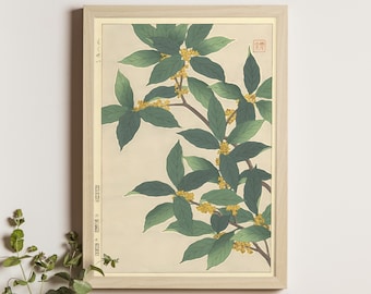 May include: A framed print of a Japanese botanical illustration featuring a branch of a flowering plant with green leaves and yellow flowers. The print is on a cream background and includes Japanese text in a red square.