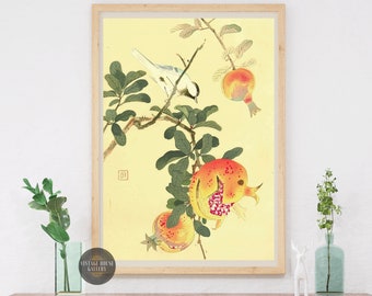 May include: A vintage Japanese illustration of a bird perched on a pomegranate tree branch with three pomegranates. The bird is white with a black head and the pomegranates are red and yellow.
