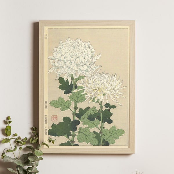 White Chrysanthemums - Kawarazaki Shodo Japanese Print, Ukiyo-e Art, Vintage Japanese Wall Art, Flower Painting, Floral Wall Decor