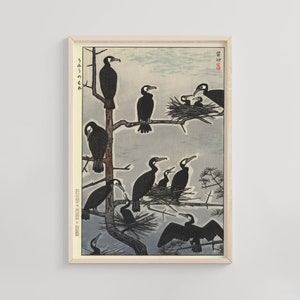 Impresión de reunión de cormoranes marinos, arte de Kasamatsu Shiro, Ukiyo-e japonés, decoración de pared vintage, arte asiático, cartel de aves costeras