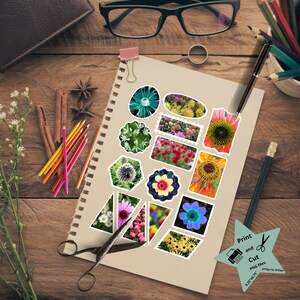 Naklejki kwiatowe/Plik PNG do pobrania/Oryginalna sztuka fotograficzna/Naklejki do drukowania i wycinania/Naklejki do albumów/Naklejki do dziennika