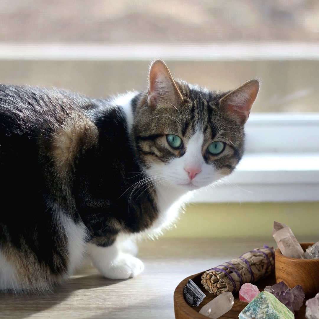 Crystals for Cats Healing Crystals to Calm Cats, Crystal Set for Pets