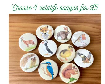 Choose any 4 badges. Wildlife collectors button badges, 3.8cm, using original pastel pencil art, squirrel, kingfisher, duckling, puffin