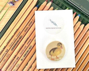 Duckling pin badge. British wildlife collectors button badge, 3.8cm size, made using original pastel pencil artwork