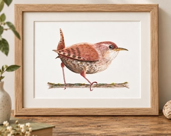 Wren Art Print A5, British Garden Bird Print, Bird Wall Art, Nature Illustration, Cottagecore Decor, Wildlife Gift, Bird Lover Gift