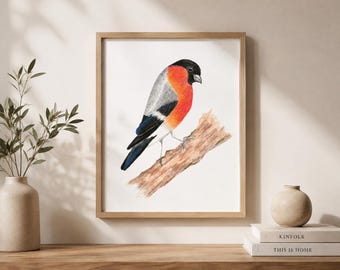 Bullfinch Bird Art Print, A5 Wall Art, Colorful Bird Illustration, Nature Art, Bird Lover Gift, Cottagecore Home Decor