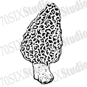 Morel mushroom SVG PNG digital download mushroom image sticker file