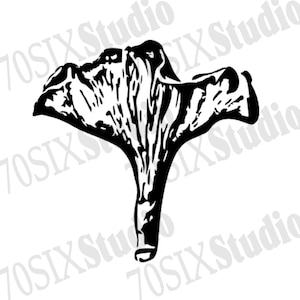 Chanterelle mushroom SVG PNG digital download file, sticker print digital file