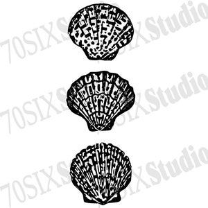 Decorative seashells image for download PNG and SVG format laser engraver project
