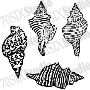 Seashell SVG PNG digital download file