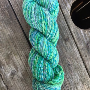 Arles merino skein spun and dyed by hand DK