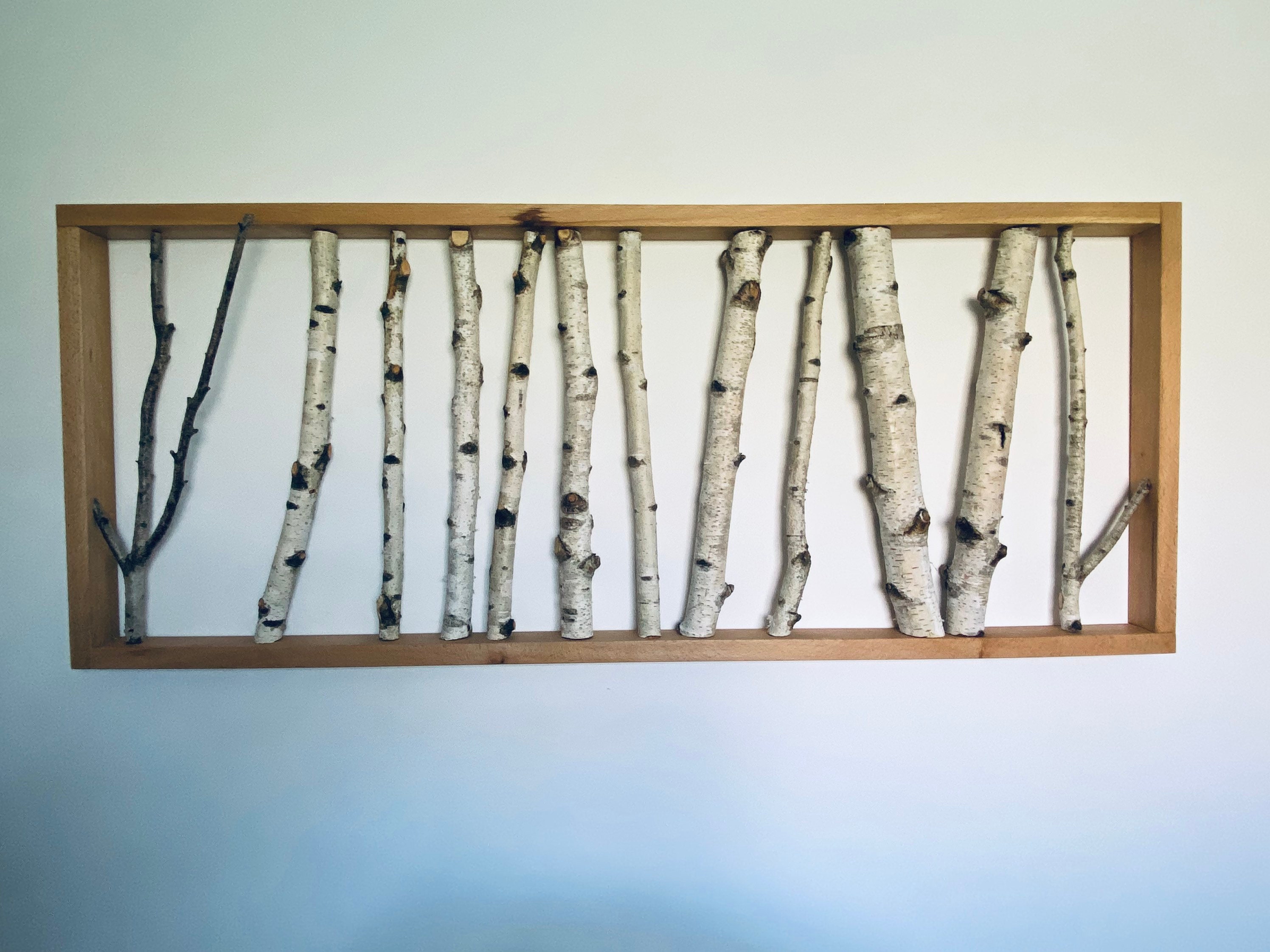 Décoration Murale en Bouleau Blanc - Cadre Hêtre Massif