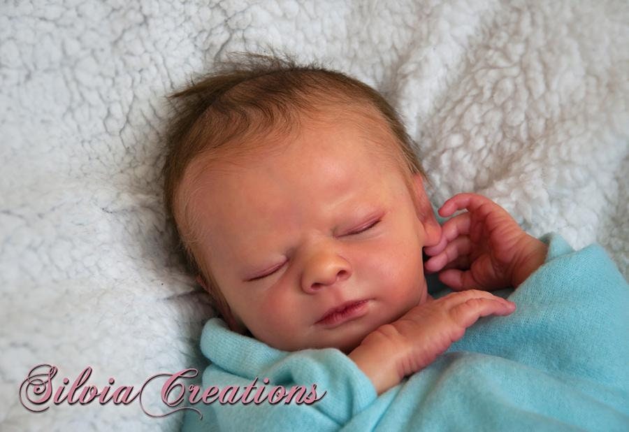 Clyde Sleeping Authentic *realborn 18