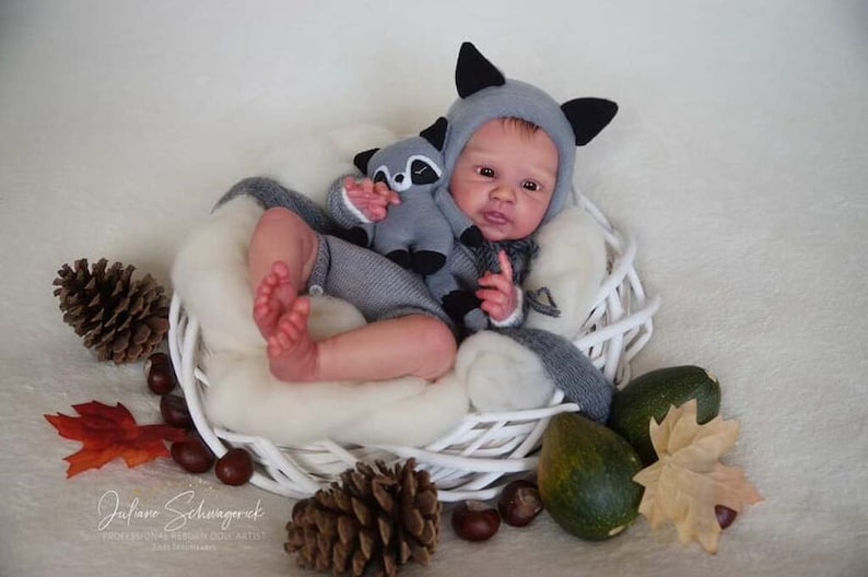 Puede incluir: Un mu&ntilde;eco beb&eacute; realista que lleva un disfraz de mapache gris con un juguete de peluche de mapache. El mu&ntilde;eco est&aacute; acostado en una cesta de mimbre blanca con decoraciones de oto&ntilde;o, incluyendo pi&ntilde;as, bellotas y hojas.