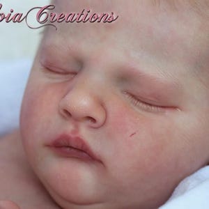 Owen Sleeping Authentic Realborn 19.5" Reborn Doll Kit/COA ~ by Bountiful Baby