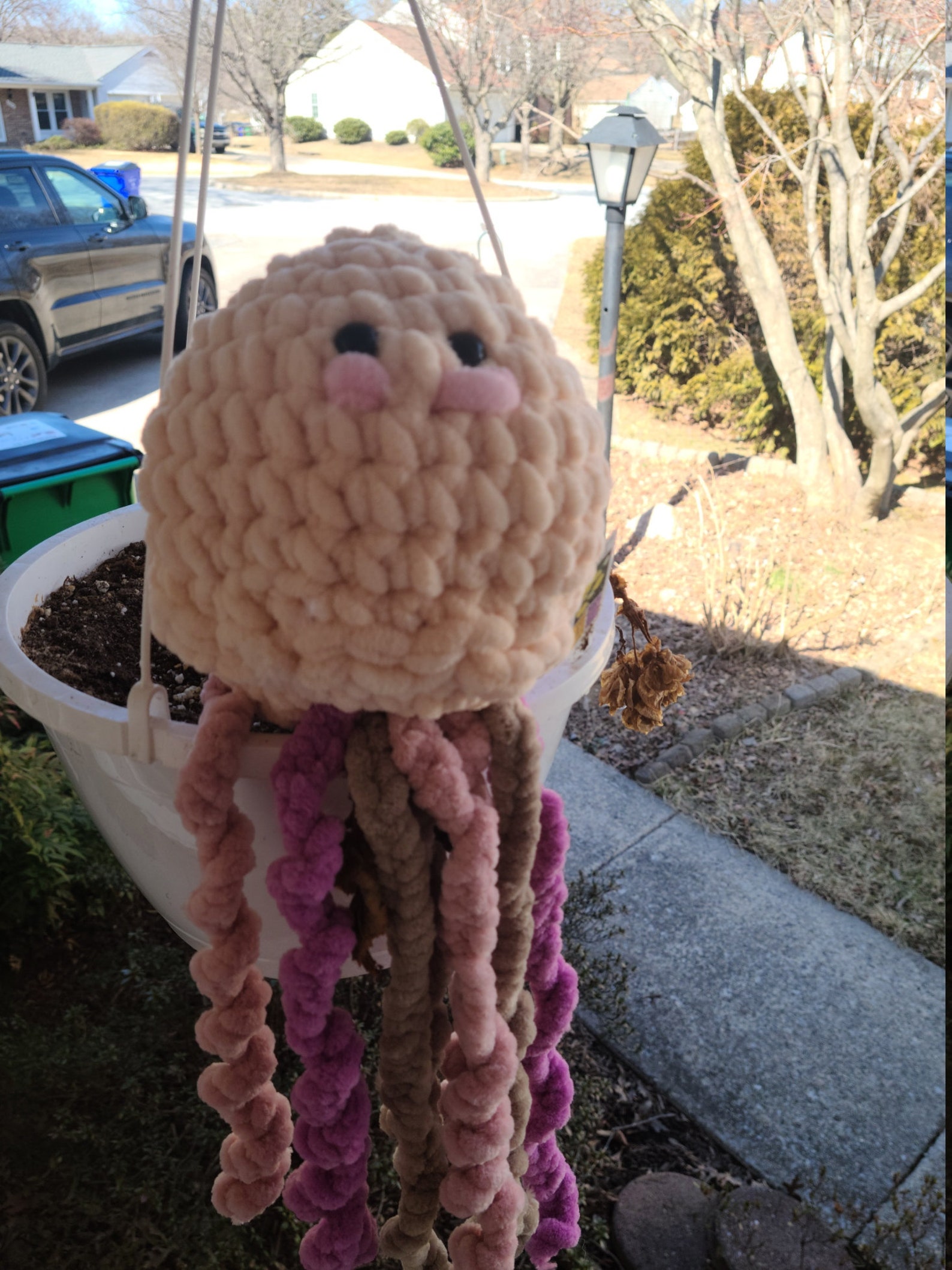 Peanut Butter Jellyfish Etsy