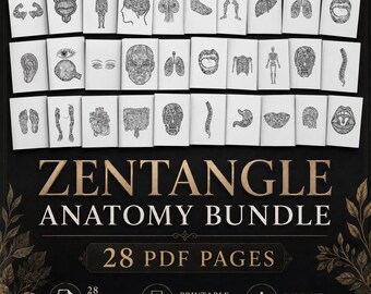 Paquete de páginas para colorear Zentangle en formato PDF: ¡Todos nuestros diseños listados y más!