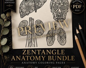 Página para colorear Zentangle de hígado, cráneo, riñón y pulmón