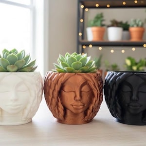 Serene Braided Face Planter-Boho Chic Head Planter for Indoor Plants- 3D Printed Succulent Pot- Paintable Home Decor