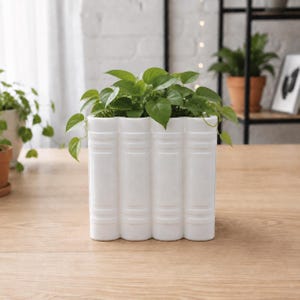 May include: A white ceramic planter shaped like a stack of four books, featuring vertical spine detailing and a smooth finish. The planter contains a lush green plant with heart-shaped leaves, creating a contrast between the white container and foliage.