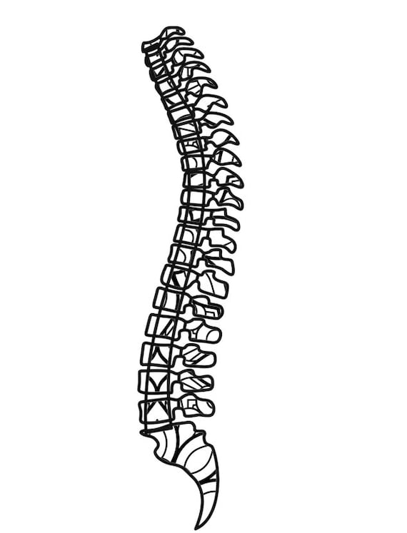 Pencil Spine Coloring Pages