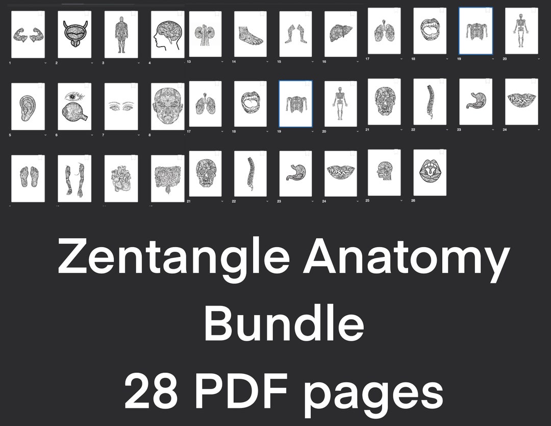 Zentangle PDF Coloring Page Bundle All of Our Listed Designs and More