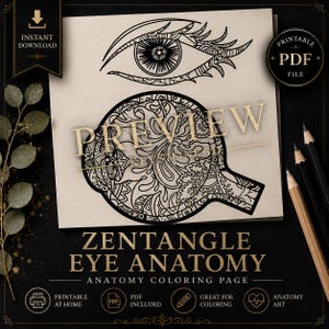 Op de afbeelding: Een zwart-wit Zentangle oog anatomie kleurplaat met de tekst "Zentangle Eye Anatomy" en "Anatomy Coloring Page". De afbeelding bevat een gedetailleerde oog- en ooganatomie-illustratie, met de woorden "Instant Download" en "Printable PDF File".