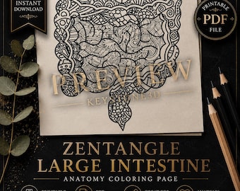Página para colorear en PDF de intestinos con técnica Zentangle