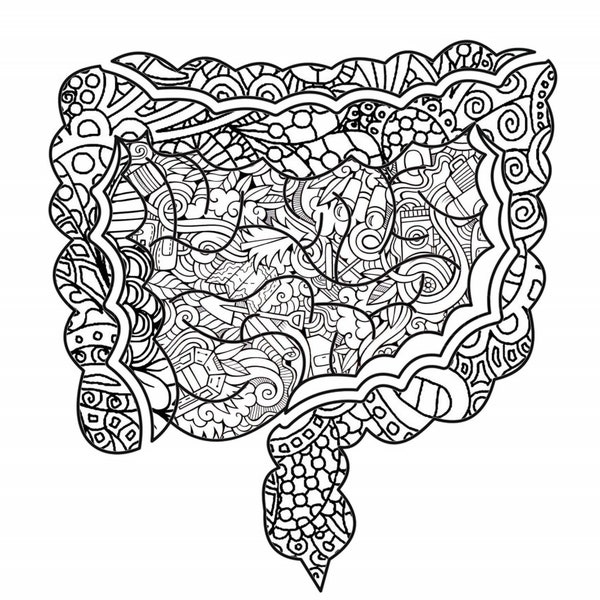 Zentangle Intestines PDF Coloring Page