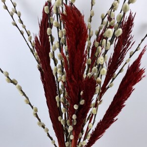 40 Dried Pussywillow Branches, Decorative Branches, Natural Dried Branches,  Rustic Decor, Vase Filler, Spring Decor, Natural Dried Flowers 