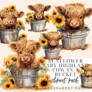Watercolour spring highland cow, Floral highland cow, baby highland cow bundle, baby highland cow in bucket png, sunflower highland cow png