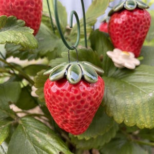 May include: A ceramic strawberry ornament with a glossy red finish and green leaves. The ornament is suspended from a green wire, surrounded by green leaves and other strawberry ornaments. A small white flower is also visible.