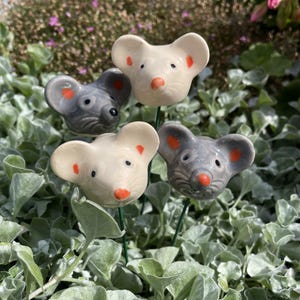 Puede incluir: Cuatro estacas de jardín con forma de ratón de cerámica. Dos son de color gris claro y dos de color blanquecino, cada uno con orejas y narices naranjas. Las estacas están colocadas en un lecho de follaje verde y plateado.