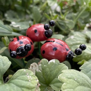Op de afbeelding: Drie rode lieveheersbeestje tuinpalen met zwarte stippen en antennes. De lieveheersbeestjes staan tussen groen gebladerte. Deze decoratieve palen voegen een grillige toets toe aan elke tuin.