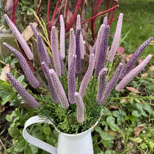 Peut inclure: Un pichet en métal blanc rempli d'un bouquet d'épis de fleurs artificielles violettes et lavande. Les fleurs ont une surface texturée et pointillée, disposées parmi un feuillage vert. Le pichet présente une anse courbée et un large bord.