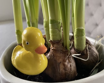 Pato de cerámica, Estaca de planta, figura de cerámica para planta de flores, hogar, accesorios de jardín de hadas