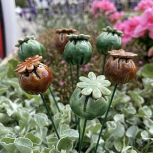 Può includere: Una collezione di capsule di papavero in ceramica su sottili steli metallici. Le capsule sono smaltate in tonalità di verde e marrone lucido, con cime segmentate distinte e corpi arrotondati, disposte in un gruppo decorativo.