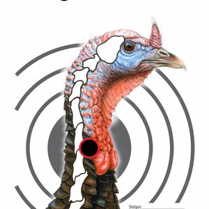 Printable Turkey Targets for Perfect Archery and Shotgun Practice | Download | Print | Email to a friend | Turkey Target | Color