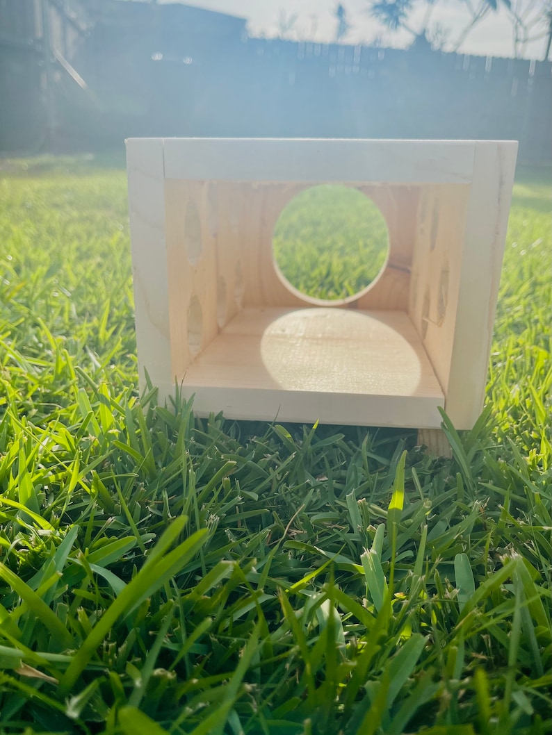 Kiln Dried Pine Peekaboo House for Guinea Pigs Chinchillas Etsy