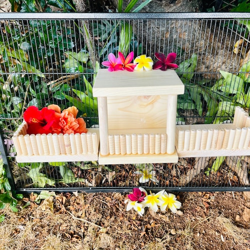 Set of 9 Kiln Dried Pine Wooden Ledges for Chinchillas Birds Etsy