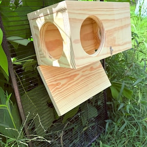 May include: A wooden birdhouse with two circular entry holes. The birdhouse is made of light-colored wood and has a hinged roof. It is mounted on a black wire mesh structure, surrounded by green foliage and grass.