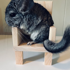 Wooden Throne for Chinchillas and other Critters. Made of Kiln Dried Pine.