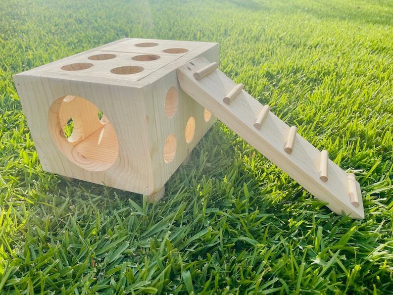 Kiln Dried Pine Peekaboo House for Guinea Pigs Chinchillas Etsy