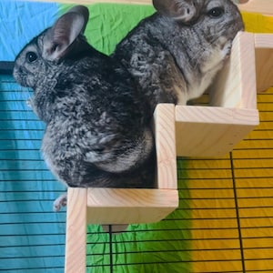 Kiln Dried Pine Stair/Steps and 10 Pc Ledge/Platform Set for Chinchillas, Rats, Birds, Degu, Gliders, Squirrels and other Critters