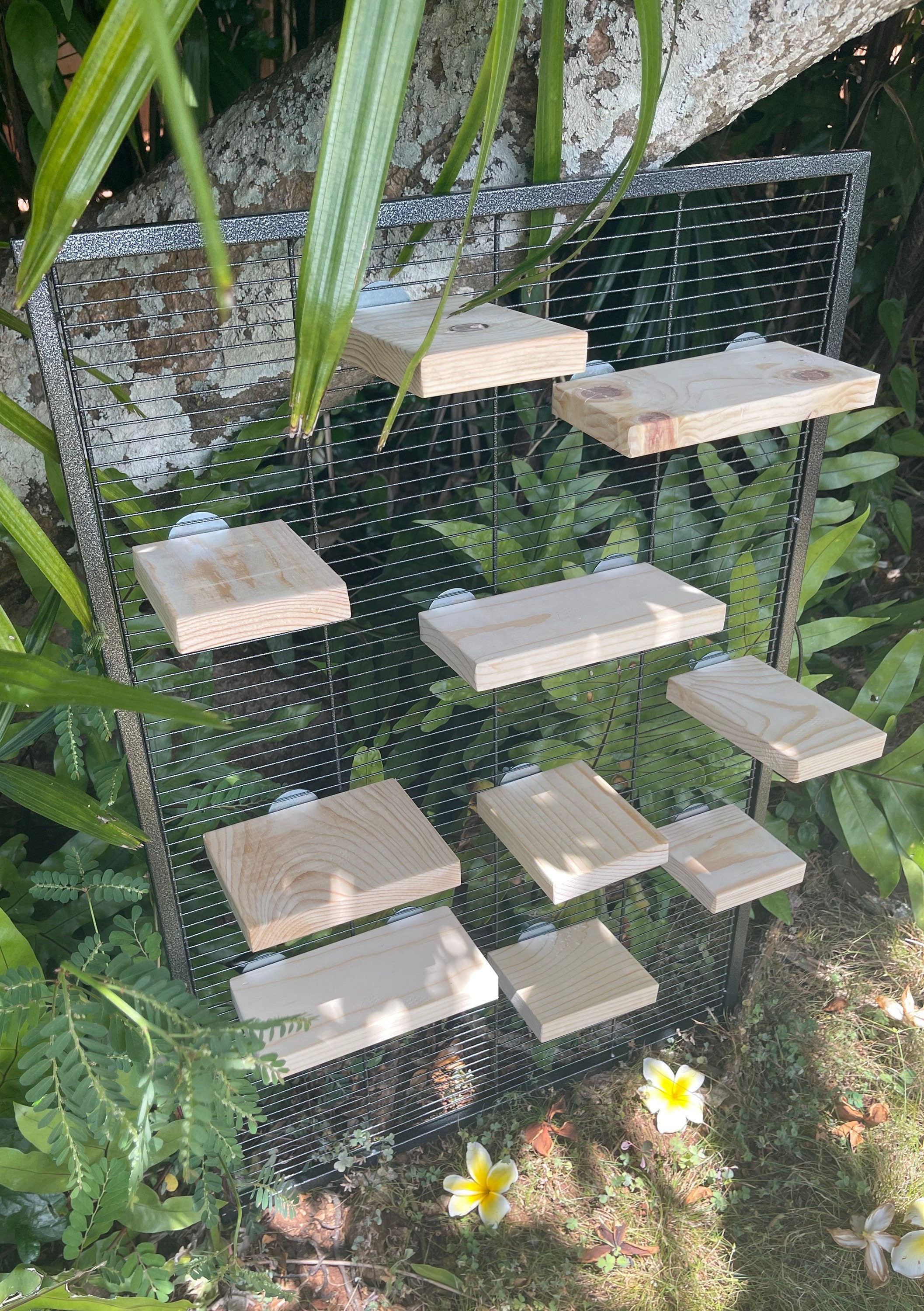 Kiln Dried Pine Ledges for Chinchillas and Other Critters Etsy